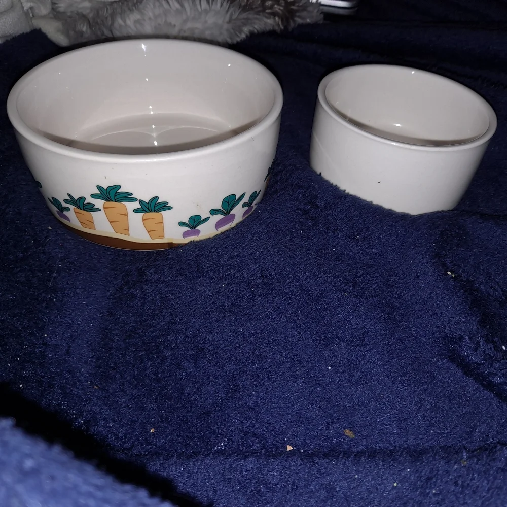 Food bowls